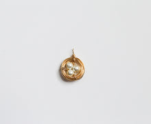 Load image into Gallery viewer, Birds Nest "3 Children" Pendant